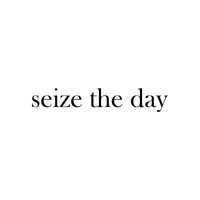 Seize The Day Motivational Quote - Wall Art Decal 8.5" x 48" Positive Life Quote Vinyl Wall Decal - Living Room Wall Decor - Bedroom Wall Decoration 660078083826